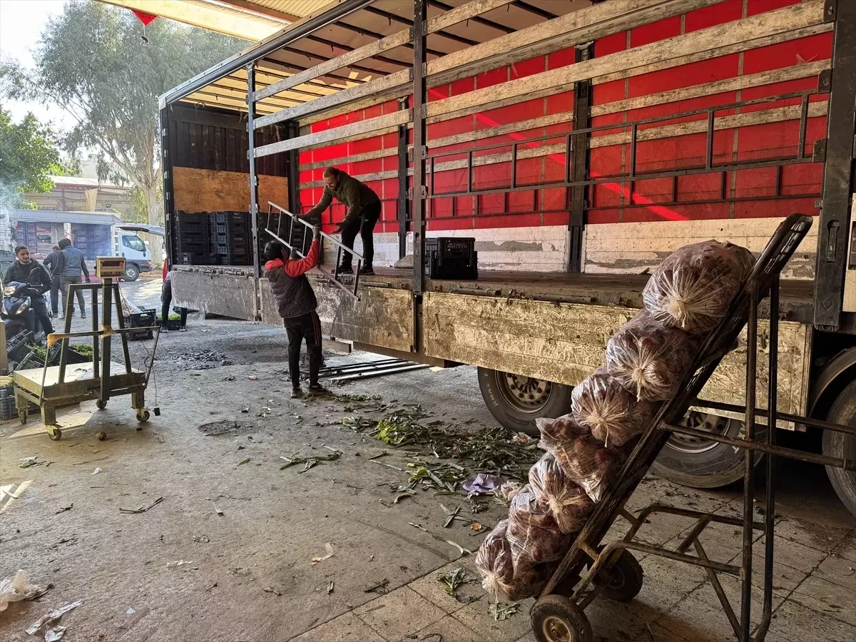 Alanya'da İzinsiz Ateş Yakan Teneke Patladı, Panik Anları Kamerada