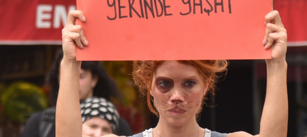 ‘Kısırlaştır, aşılat, yeniden yaşat’